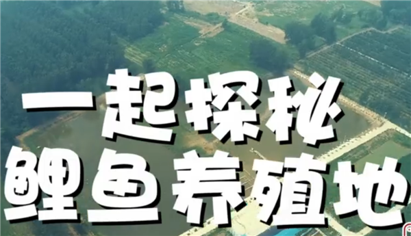 ȫÓؚ(jin)(yu)o(j)Ƭչϵмo(j)ƬߴֱÓؚ֮