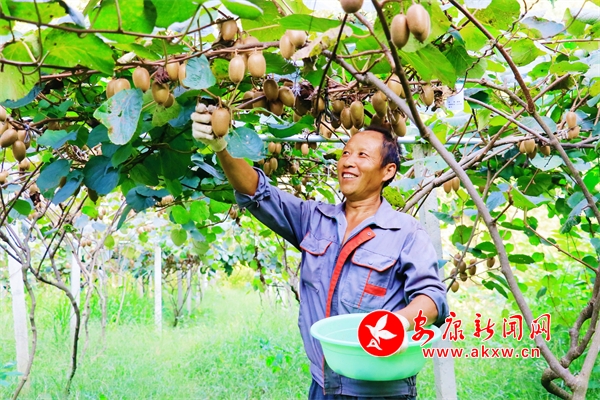 𡰫Ju^(zhn)Jϲ@S