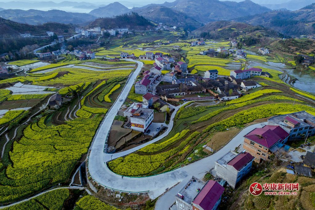 PߴɫzӰƤ¾SԒh13325355508Ĕzʡhꎿhu(zhn)P߹ - .JPG