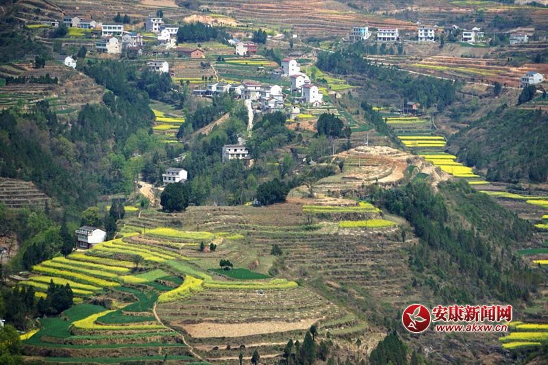 D2.̎(gu)(ni)ꑸ(d)߁ɽɽɽص6Nεòc(din)˷Ϣ@˂ò